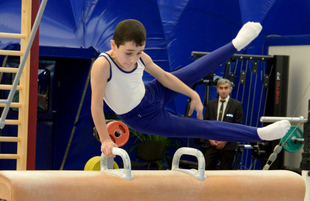 Bakıda kişi idman gimnastikası üzrə çoxnövçülükdə yarışlar başlayıb. Azərbaycan, 5 dekabr 2015